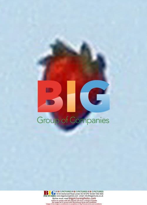 Lindsay Lohan Marilyn Monroe Photoshoot