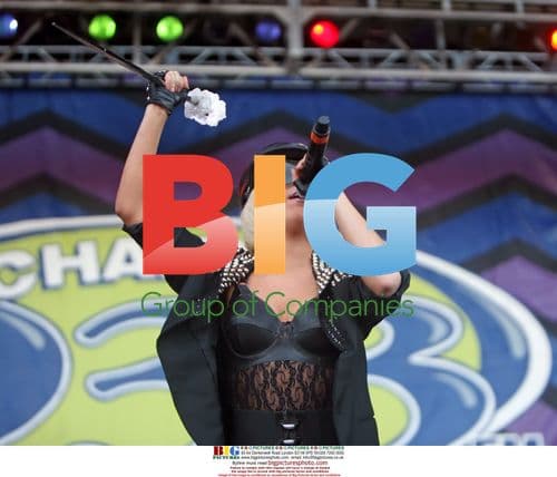 Lady Gaga concert in Chula Vista, 2009