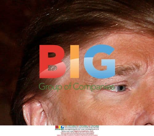 Carrie Prejean and Donald Trump