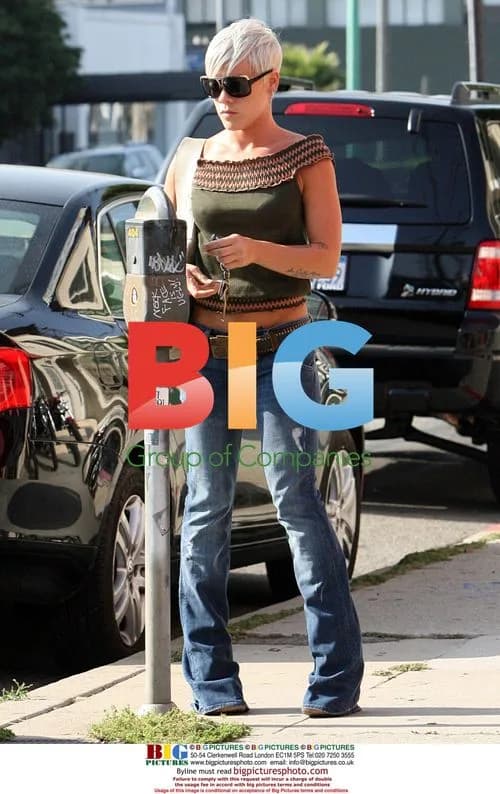 Pink and Carey Hart go shopping and have dinner