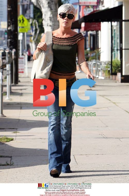 Pink and Carey Hart go shopping and have dinner