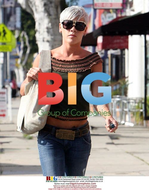 Pink and Carey Hart go shopping and dine