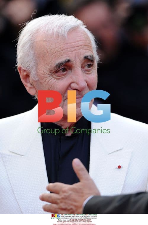 62nd Cannes "Up" Premiere