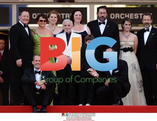 Up Premiere at Cannes Film Festival