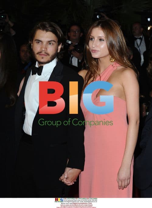 "Taking Woodstock" Premiere