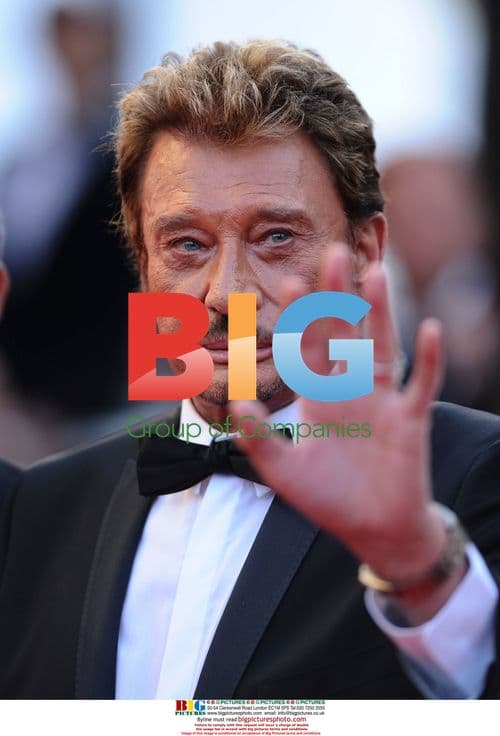 Johnny Hallyday at Cannes 'Vengeance' Premiere