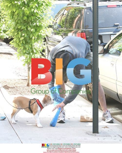 Hugh Jackman walks dog in NYC