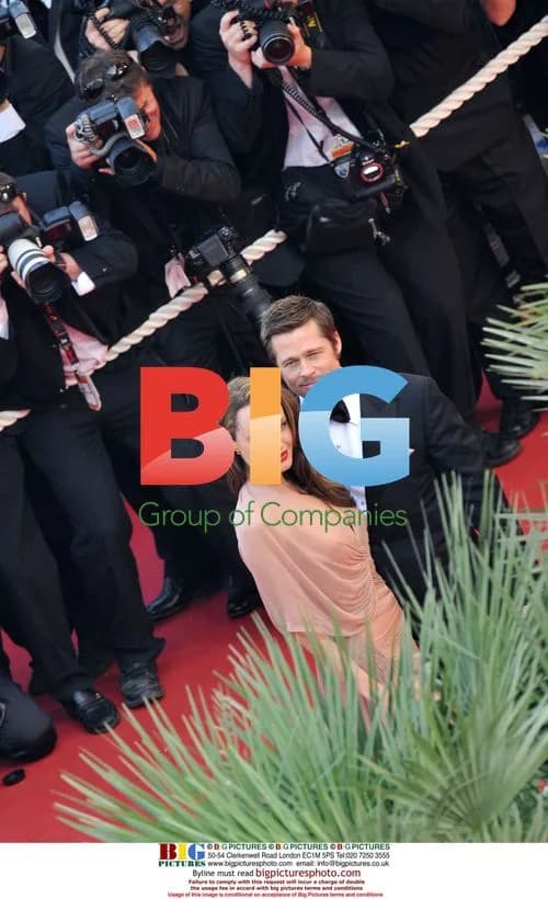 Angelina Jolie and Brad Pitt at Cannes