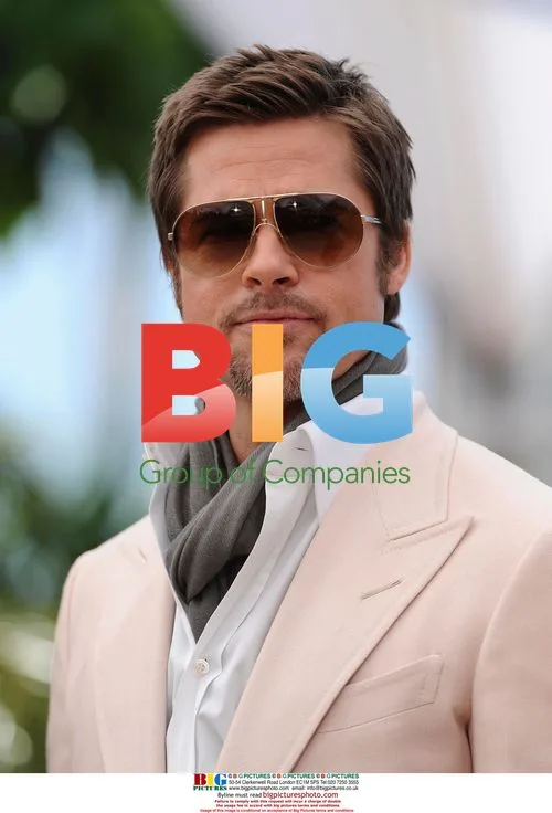 Brad Pitt at Cannes 'Inglorious Bastards' Photocall