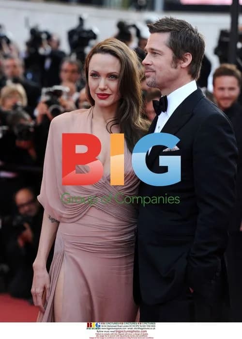 Brad Pitt and Angelina Jolie at Cannes Film Festival