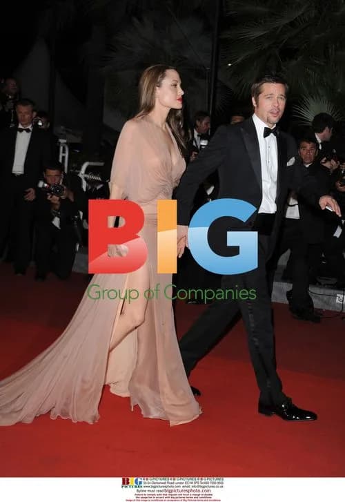 Brad Pitt and Angelina Jolie at 62nd Cannes Premiere
