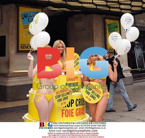 Nicola McLean Protests Foie Gras at Selfridges