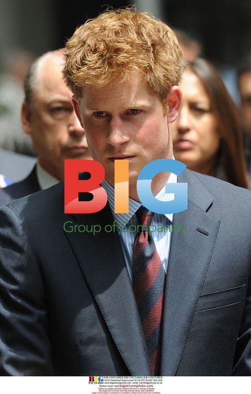 Prince Harry Opens British Gardens in NYC