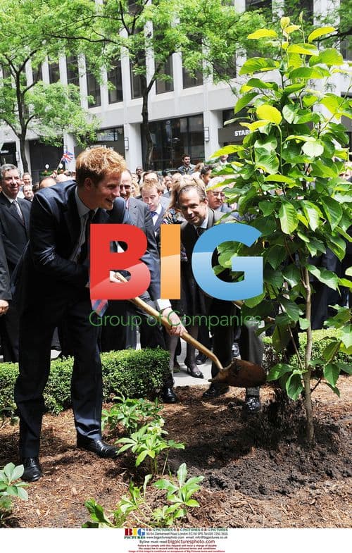 Prince Harry at NYC Gardens Opening