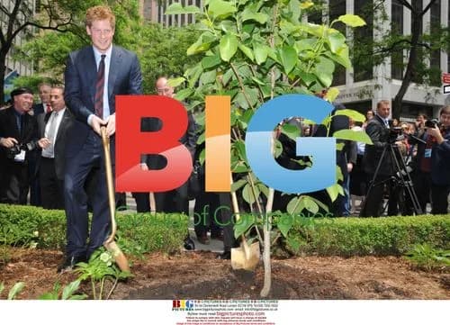 Prince Harry at British Memorial Garden in NYC