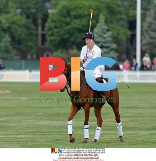 Prince Harry Plays Polo in New York