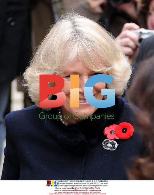 Duchess of Cornwall at Royal Conservatory of Music