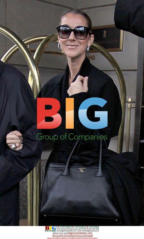 Celine Dion Heads to Dinner