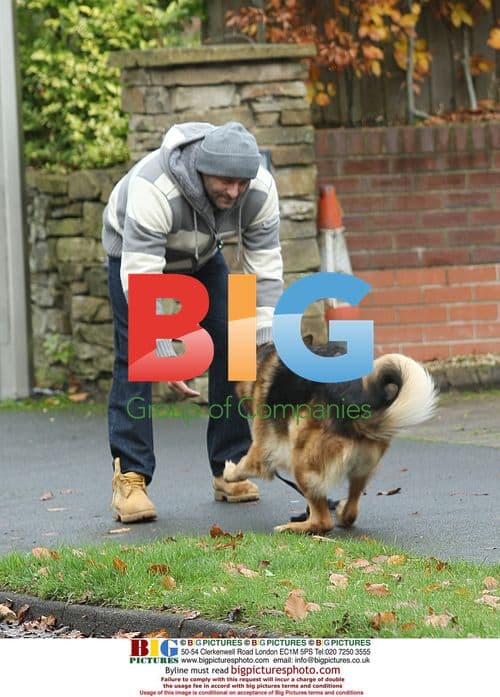 Celeb Dog Training Session