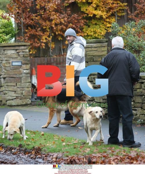 Mark Croft Trains Alsatian Guard Dog