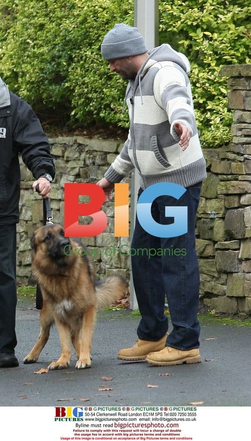 Dog Whisperer Trains Alsatian Guard Dog