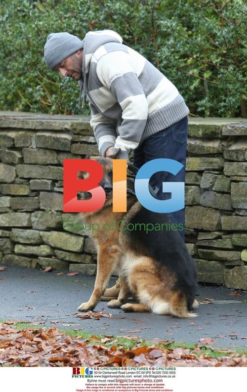 Local Dog Whisperer Helps Mark Croft Train Alsatian