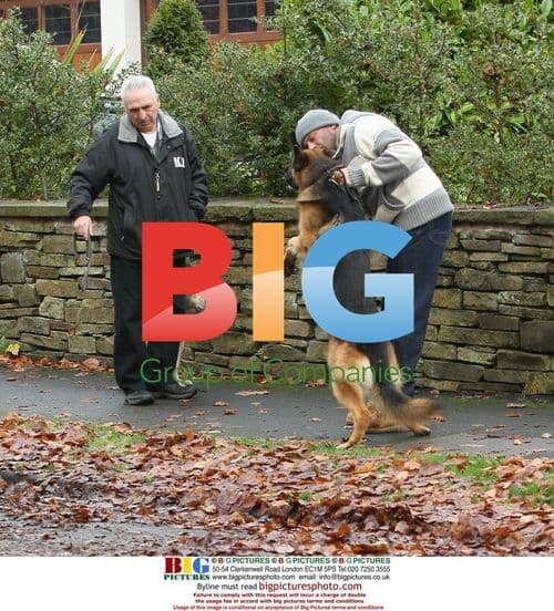 Local Dog Trainer Puts Croft's Pup Through Paces