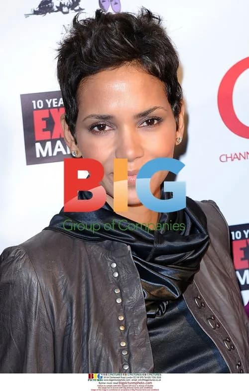 Halle Berry at 'An Evening of Awareness' in NYC
