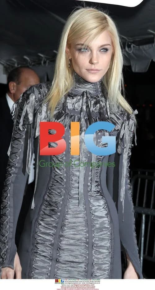 Jessica Stam at 'New Moon' Screening