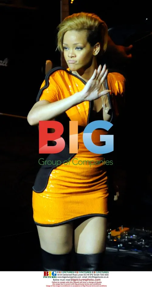 Rihanna Performs on Cruise Ship