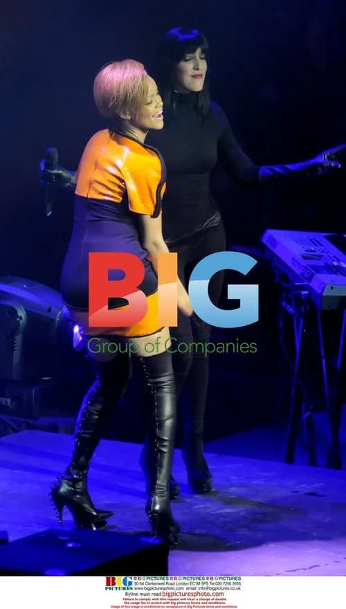 Rihanna Performs on Cruise Ship