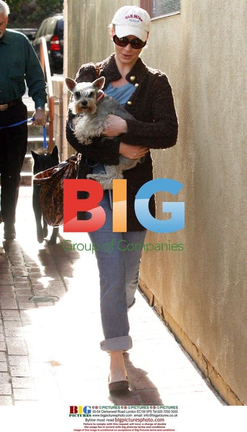 Katherine Heigl and Father-in-Law Walk Dogs to Vet