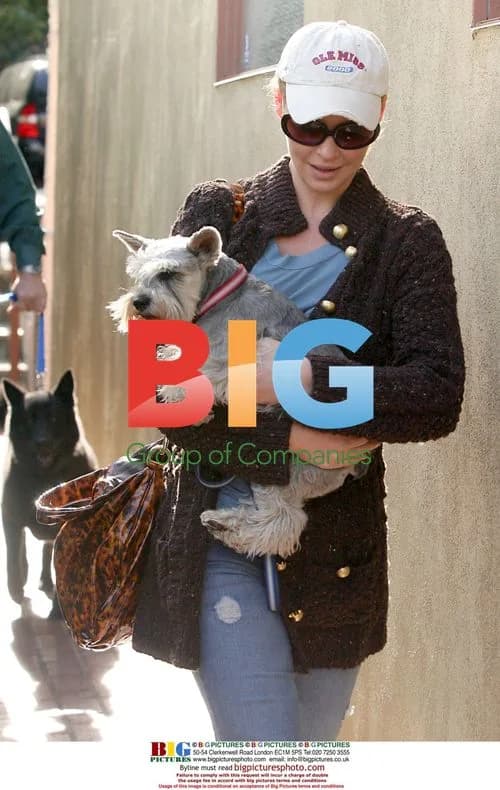 Katherine Heigl takes dogs to vet