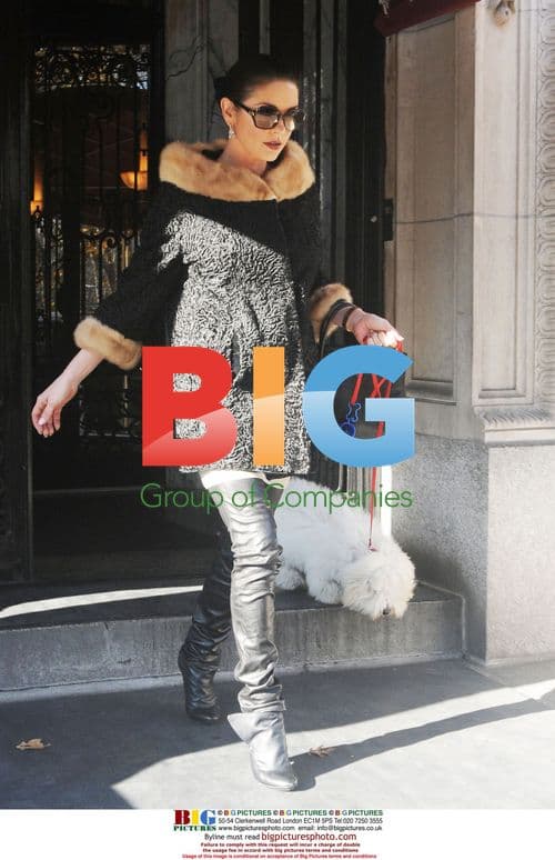 Catherine Zeta-Jones Arrives at Theatre