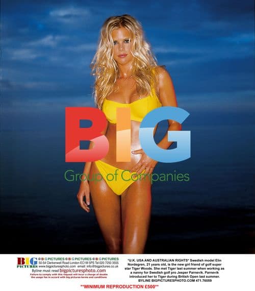 Elin Nordegren, Tiger Woods' Girlfriend