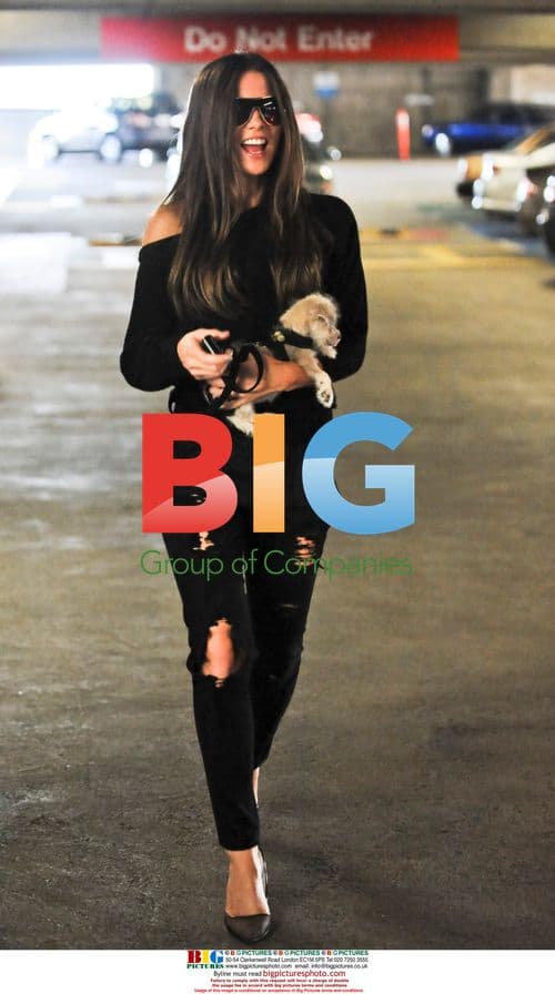 Kate Beckinsale visits doctor with puppy