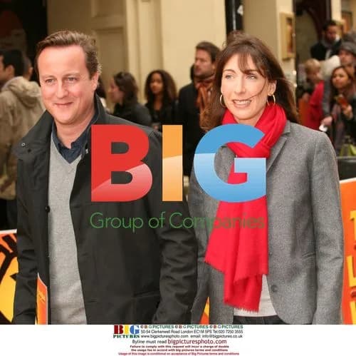 David Cameron and wife at 'Lion King' event