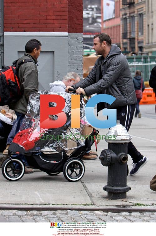 Liev Schreiber with sons on stroll