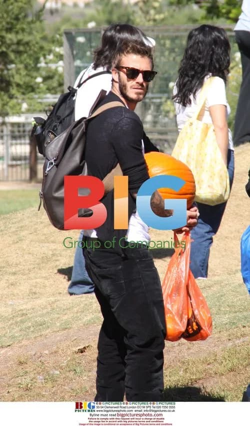 David Beckham Pumpkin Picking