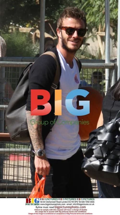David Beckham Pumpkin Picking