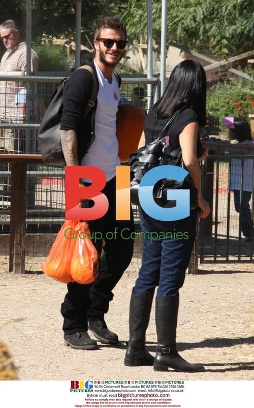 David Beckham Pumpkin Picking
