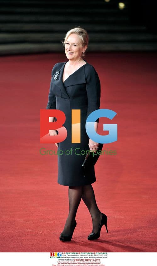 Meryl Streep at 'Julie&Julia' Premiere