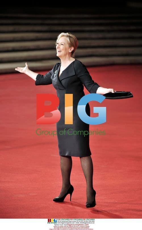 Meryl Streep at 'Julie&Julia' Premiere