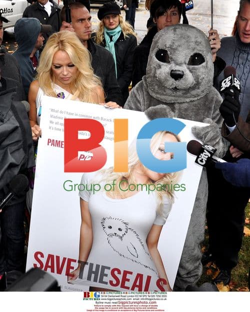 Pamela Anderson Unveils PETA Seal Hunt Campaign