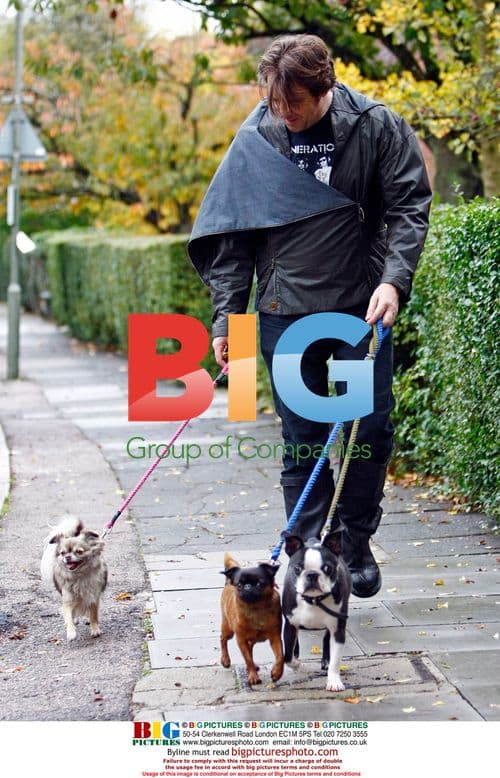 TV Personality Jonathan Ross Walks Dogs