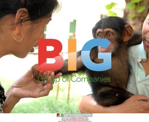 Gorilla Vaccine in China