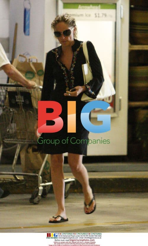 Sharon Stone Grocery Shopping with Brother