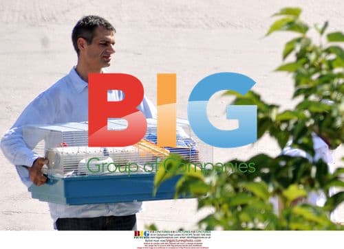 Brad Pitt and Angelina Jolie Visit Pet Shop in France