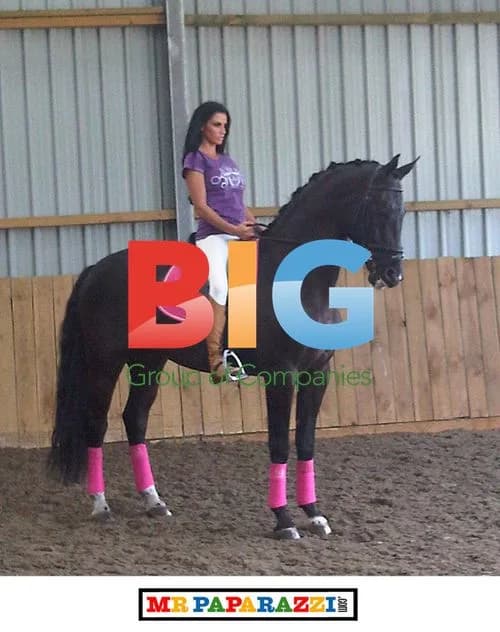 Katie Price Buys New Dressage Horse