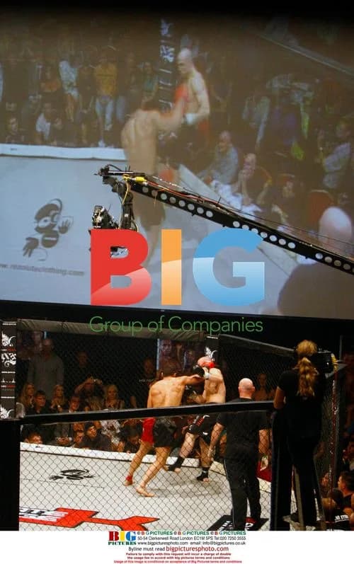 Katie Price at Alex Reid's MMA Fight